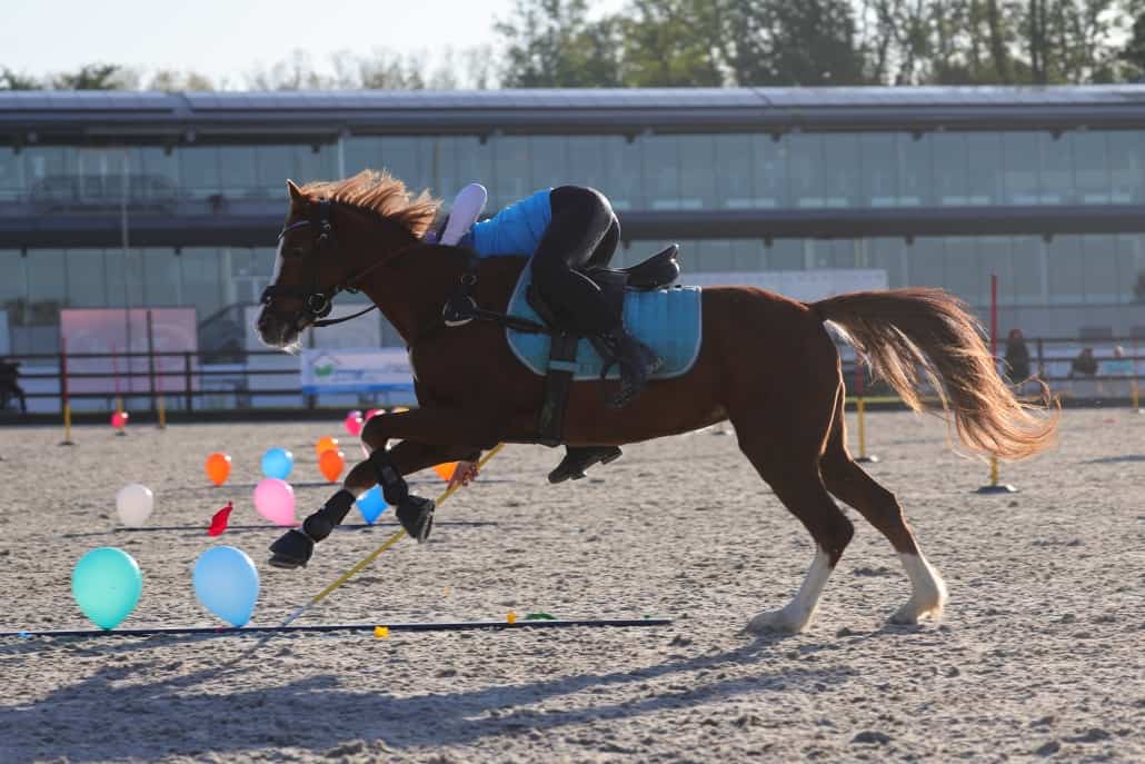 Chiara Xanthe Jörg und Bella in action in Belgien. © privat