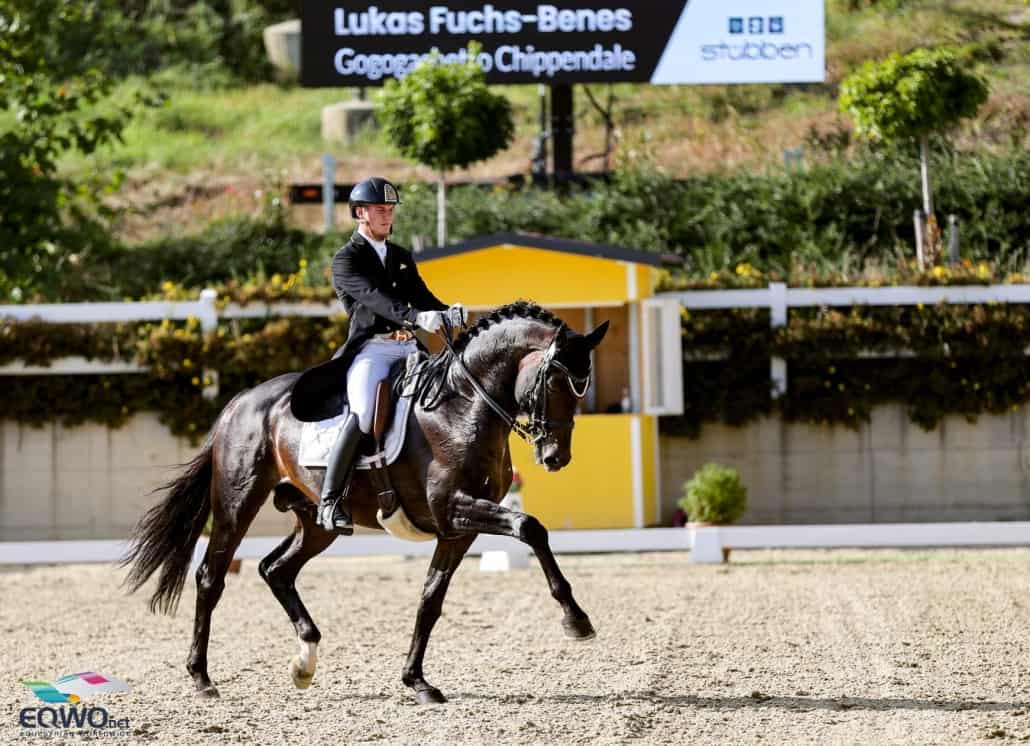 Lukas Fuchs-Benes und Gogogachetto Chippendale holten ÖM-Silber Niederösterreich in der Klasse U25. © EQWO.net/Petra Kerschbaum