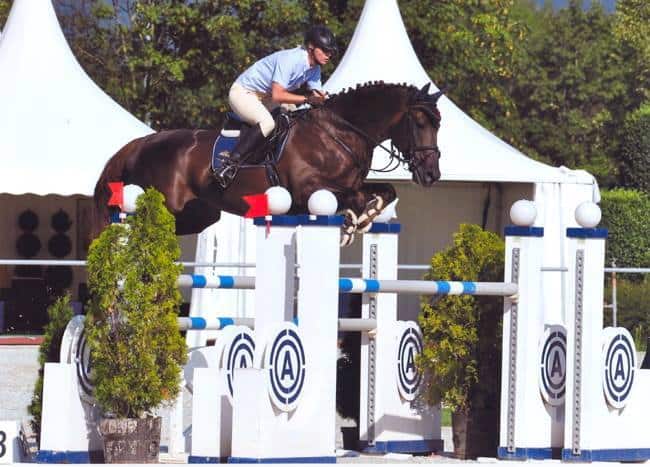 Springkurs "Finetuning des Springpferdes für höhere Aufgaben & Vorbereitung auf die Outdoor-Saison" mit Barbara Beinwachs