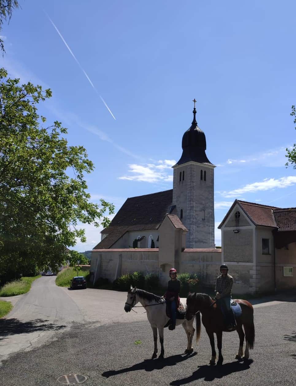 Pferde- und Tiersegnung in Schrick