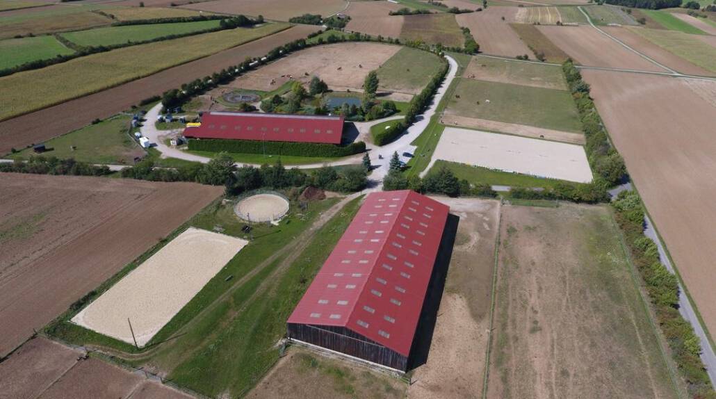 Islandpferde Gestüt Steinfeld. © privat