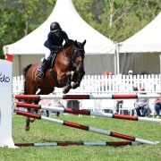 Herzliche Gratulation an Laura Furtner zum Sieg im Lizardo Amateurcup in Bad Fischau. © HORSIC.com