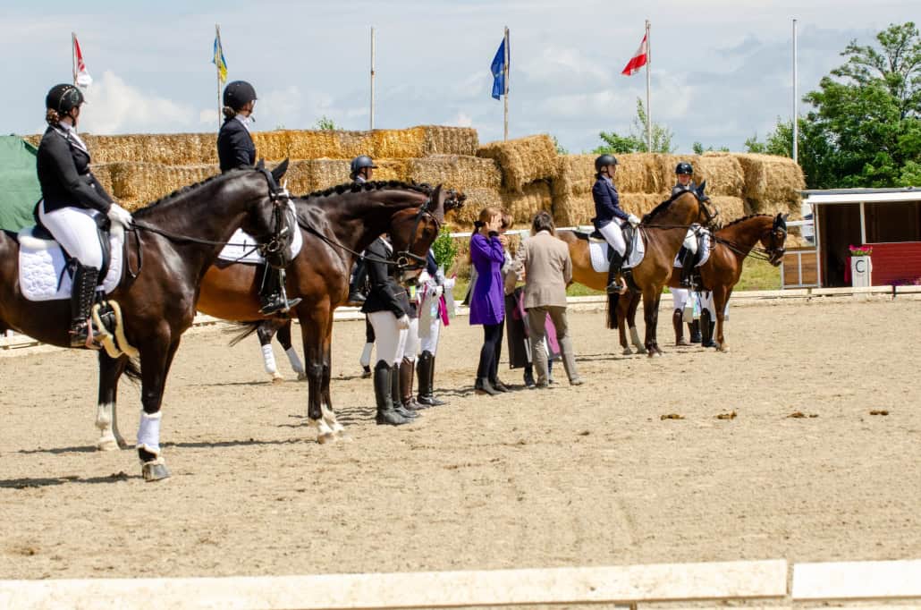 Die Siegerinnen und Platzierten der Equiveron Cups 2024 powered by sattel-check.at. © Selma Hönigschnabl