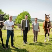 Obmann der Ländlichen Reiter und Fahrer in NÖ Johann Reisenthaler, Landwirtschaftskammer NÖ-Präsident Johannes Schmuckenschlager, Landwirtschaftskammer NÖ-Vizepräsidentin Andrea Wagner und Landwirt Gernot Reisenthaler. © Georg Pomaßl/LK Niederösterreich