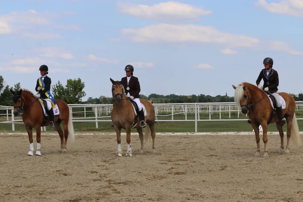 NÖ LM Haflinger Dressur Junge Reiter/Allgemeine Klasse. © Pamina Kodet