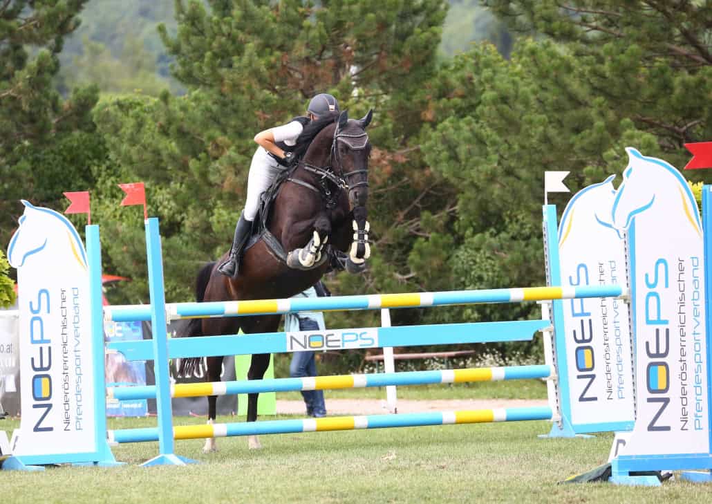 Premiere! Wiesentrophy in Bad Fischau und der Freudenau. © M&E 4 U Fotos