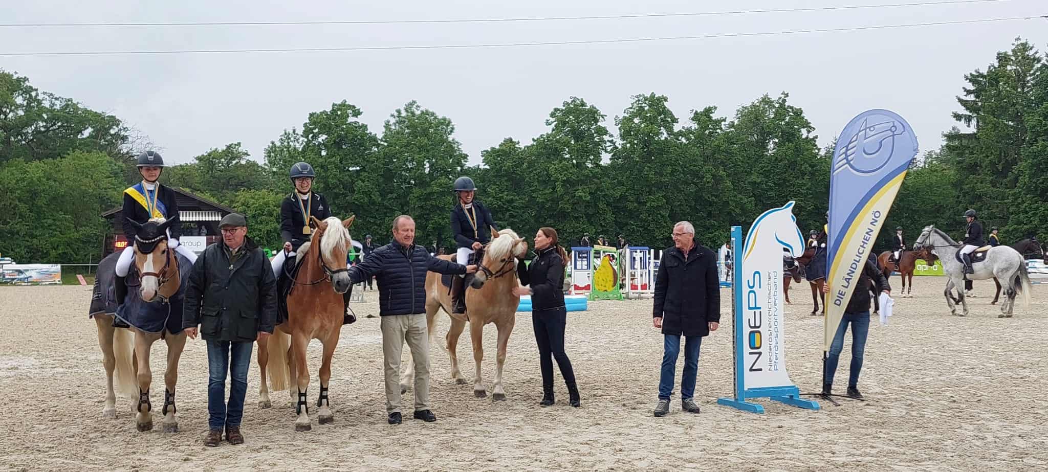Ländliche NÖ Meister Haflinger mit Lizenz © Ländliche