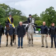 NÖ Ländliche Meisterschaft Warmblut Lizenzfrei. © Kraqueboom/ Photography by Isabella Kudler