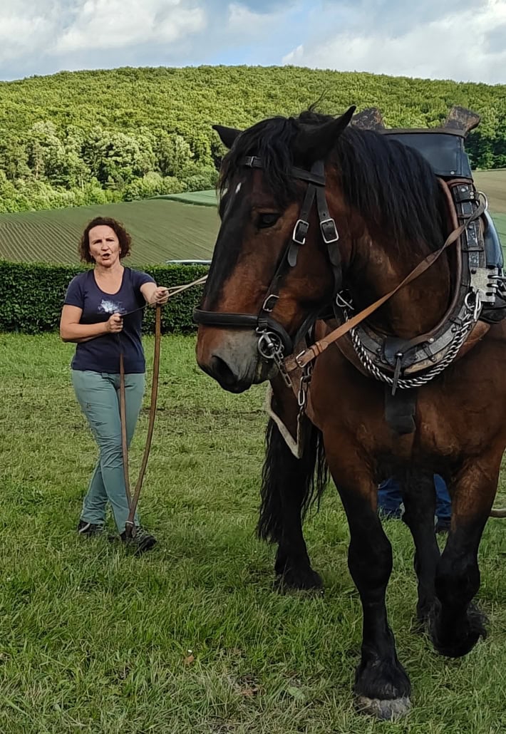 Sonja Königshofer mit Pferd Max beim Workshop. © Monika Kirschner