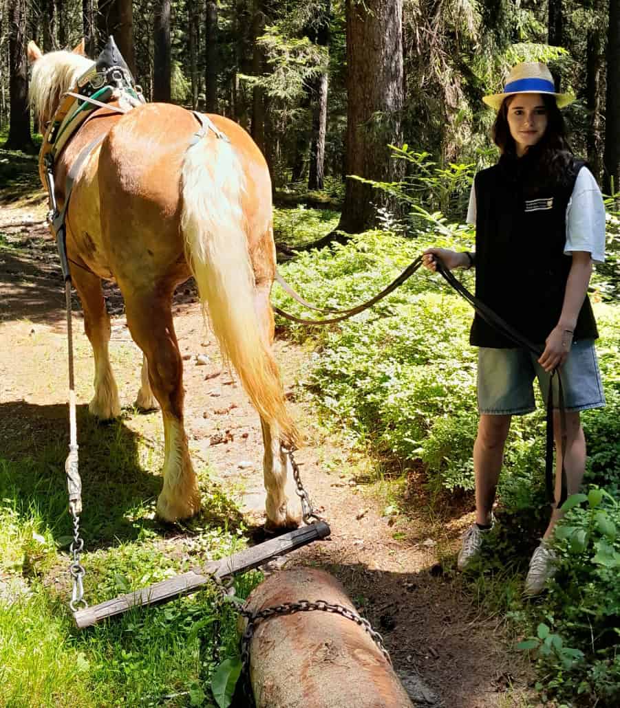 Lisa Schildberger vom Reitkultur-Verein Weiß-Blau-Gold erstmals beim Holzrücken anlässlich des Vereinsausflugs „Holzrücken und Kutschenfahrt“. © Reitkultur-Verein Weiß-Blau-Gold