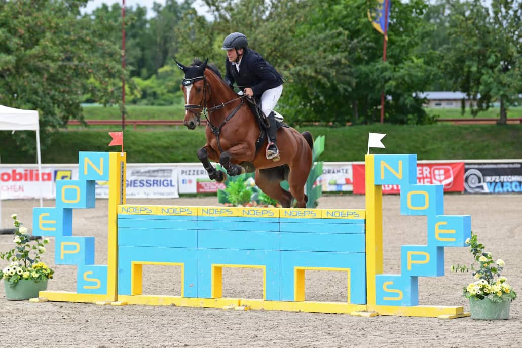 Jörn Friedl und Kim Possible DF auf dem Weg zum Sieg. © HORSIC