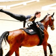 © Andrea Fuchshumer