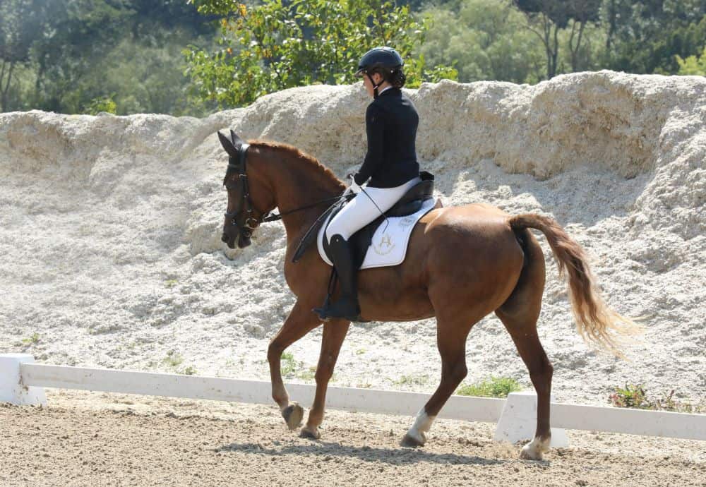 Christina Lendl und die Araberhaflinger-Stute Rapunzel. © Susanne Werth Hofbauer