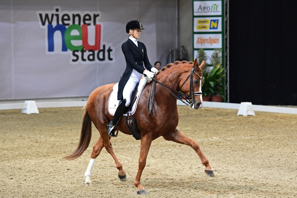 Nach dem beachtenswerten EM-Debüt gehören Bettina Kendlbacher und Broadmoars Don Alfredo AWÖ natürlich zu den Favoriten beim CDI3* bei der Apropos Pferd. © HORSIC