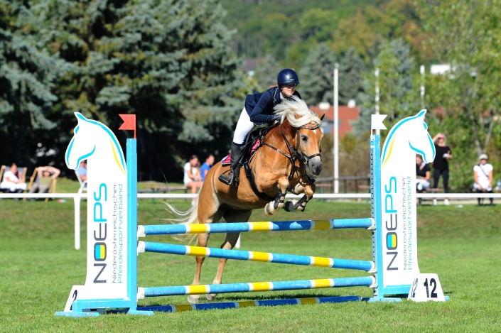 Julia Karall und Talk To Me Toffifee auf dem Weg zum Sieg bei der NÖ Landesmeisterschaft Haflinger Springen. © HORSIC