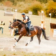 Paul Hartl vom Wiener Verein Hippo-Sport holt den Gesamtsieg 2025 im Claudia Möller Gedenkcup Klasse V100. © Joana Bauer