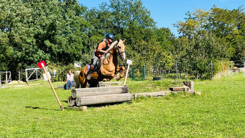 Martina Michelfeit auf ihrem Fiakerpferd Akazie am Baumstammsprung. © privat