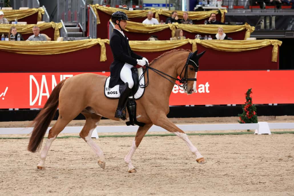 Benjamin Werndl und Quick Decision - Sieger AMADEUS DRESSAGE CDI3* GRAND PRIX. © oneklickfoto.de