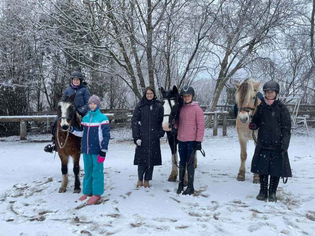 © Pferdehof Pachler