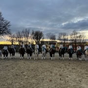 Die Quadrille "Der Eispalast der Pferde" vom RC Schloß Trumau überzeugte die Jury im NOEPS Weihnachtsreiten-Wettbewerb 2025.