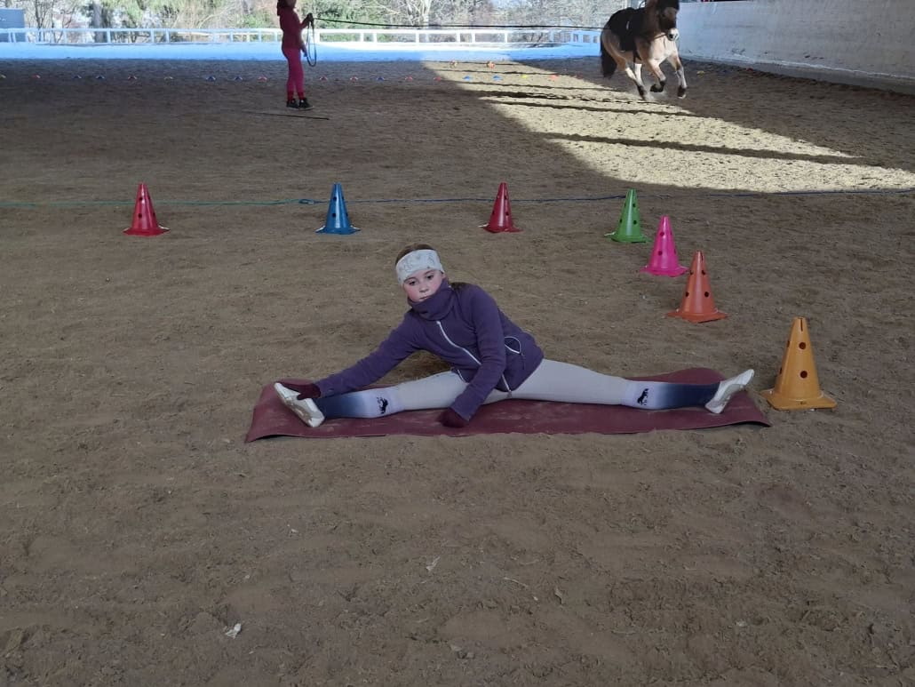 © Pferdehof Pachler