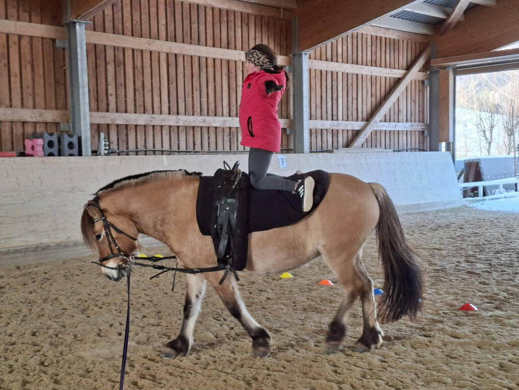 © Pferdehof Pachler