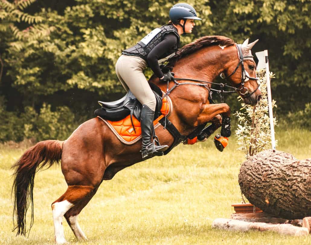 LiloValentinaVesely02_clensofharmony