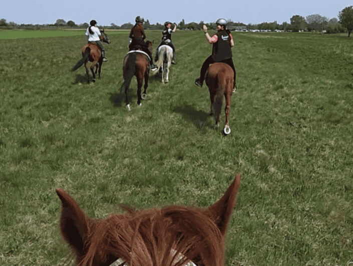 Calapo Racing Team Seewinkel_web