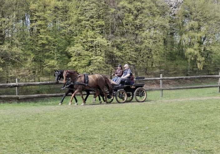 FahrtrainingGföhl03