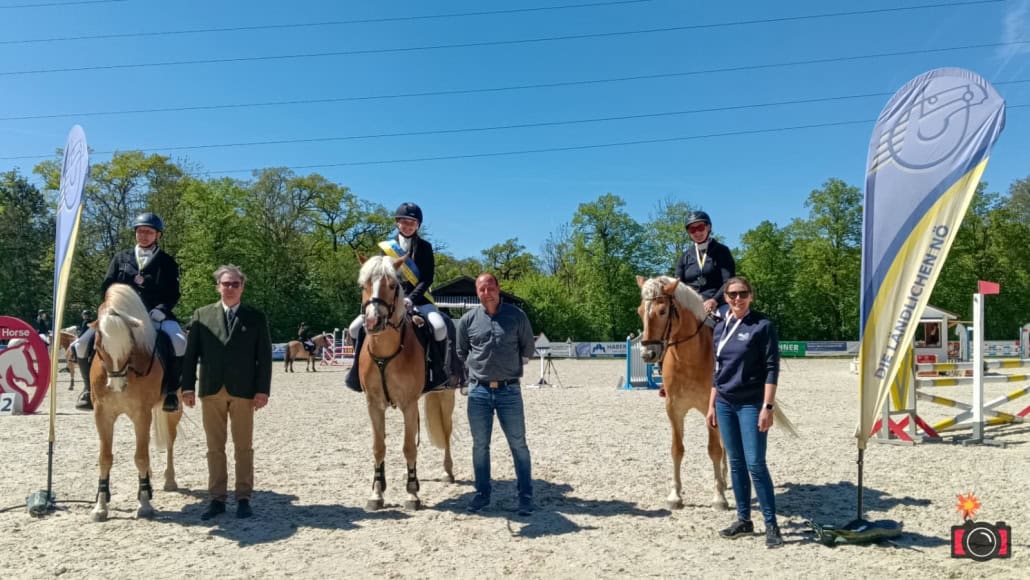 v.l.n.r.: Isabel Hanisch, Wolfgang Grüner, Victoria Stenzel, Markus Brandstätter, Lea Köstenbaumer, Elke König. © Kraqueboom/ Photography by Isabella Kudler