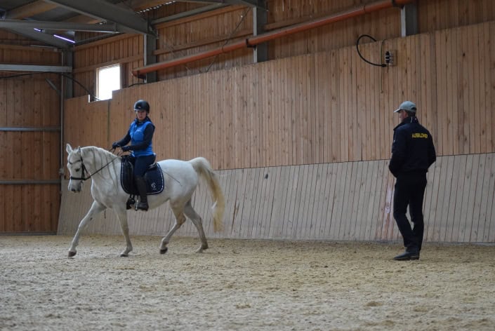 Kurs_ArabischePferde_LukasOrnauer_cprivat (8)