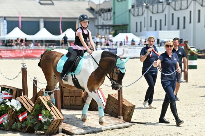 PferdWels_cTeamMyrtill (2) © Team Myrtill