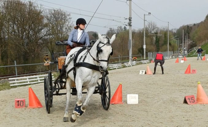 Screenshot 2026-04-20 071900