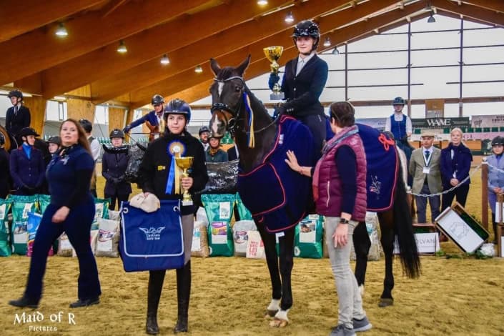 WorkingEquitation_Ebreichsdorf_April2026_cBrigitte Graffenberger (3) © Brigitte Graffenberger