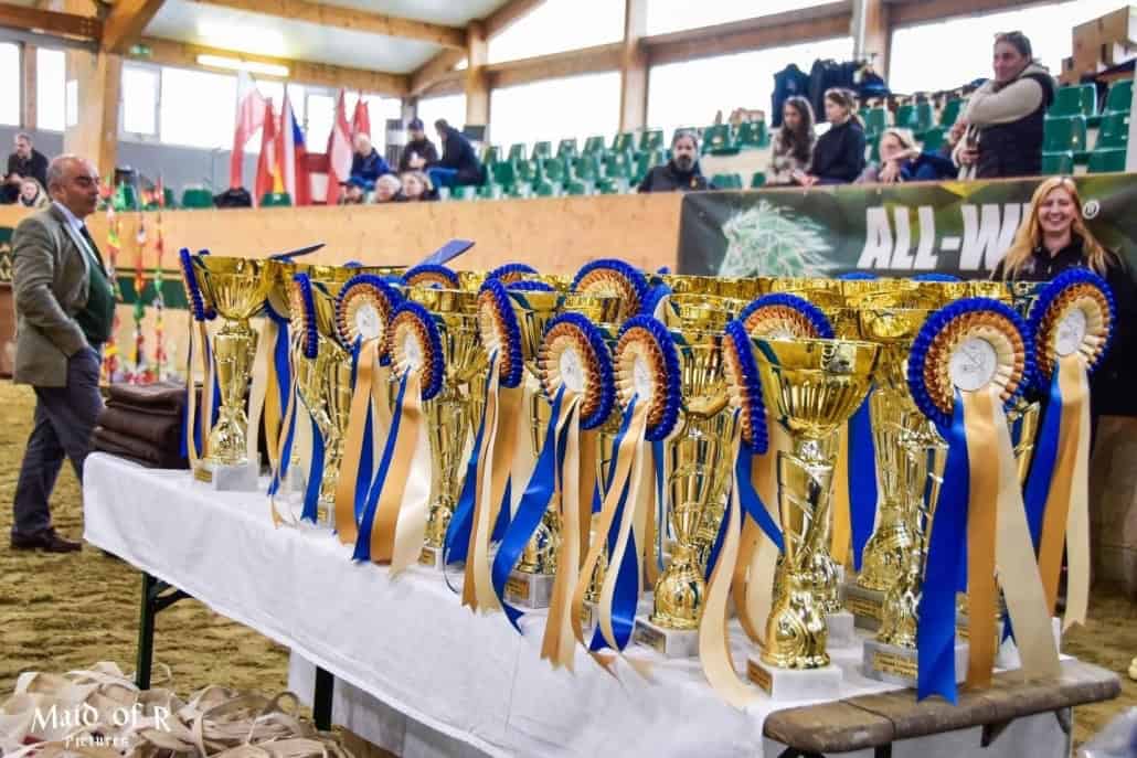 © Brigitte Graffenberger