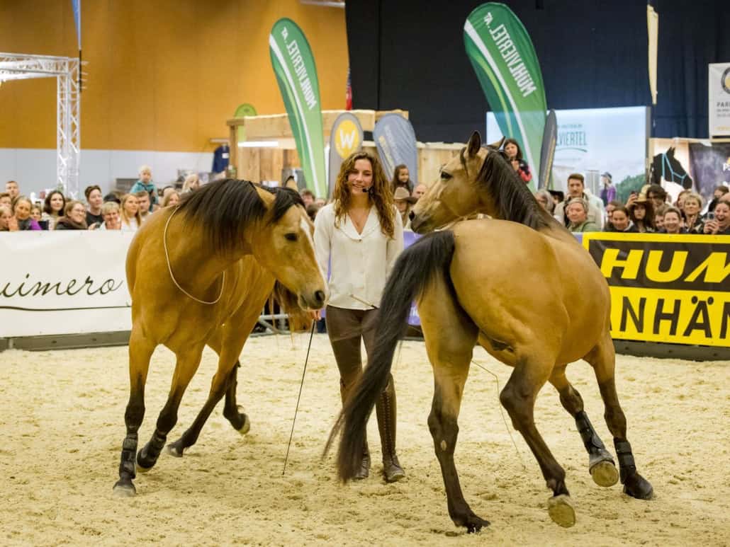 Emilia Schlotterbeck (@Dancinghorses) zum ersten Mal auf der PFERD Wels. © Michael Graf - MIKEs FotoGRAFie