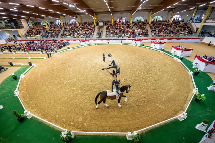 FEI Vaulting Championships 2025 © Lukasz Kowalski
