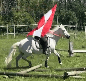 Sweet Lullaby von Kathi Marek bewies sich als tolles Cowboy Pony und sicherte sich den 1. und 3. Platz. © privat