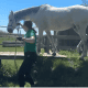 Siegerin Melanie Koch mit Tchapo im geführten Bewerb. © privat
