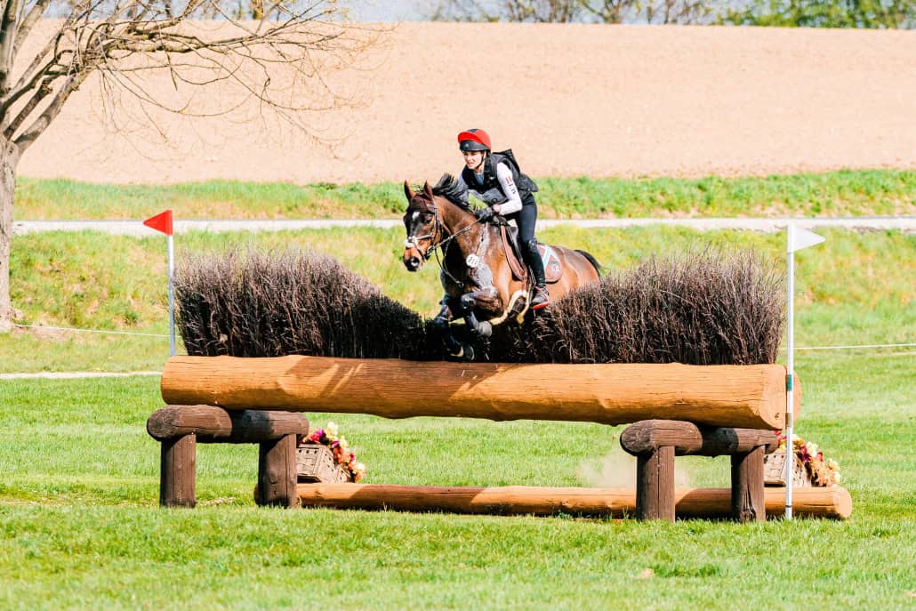 © Pompo Mompo Horse Photos