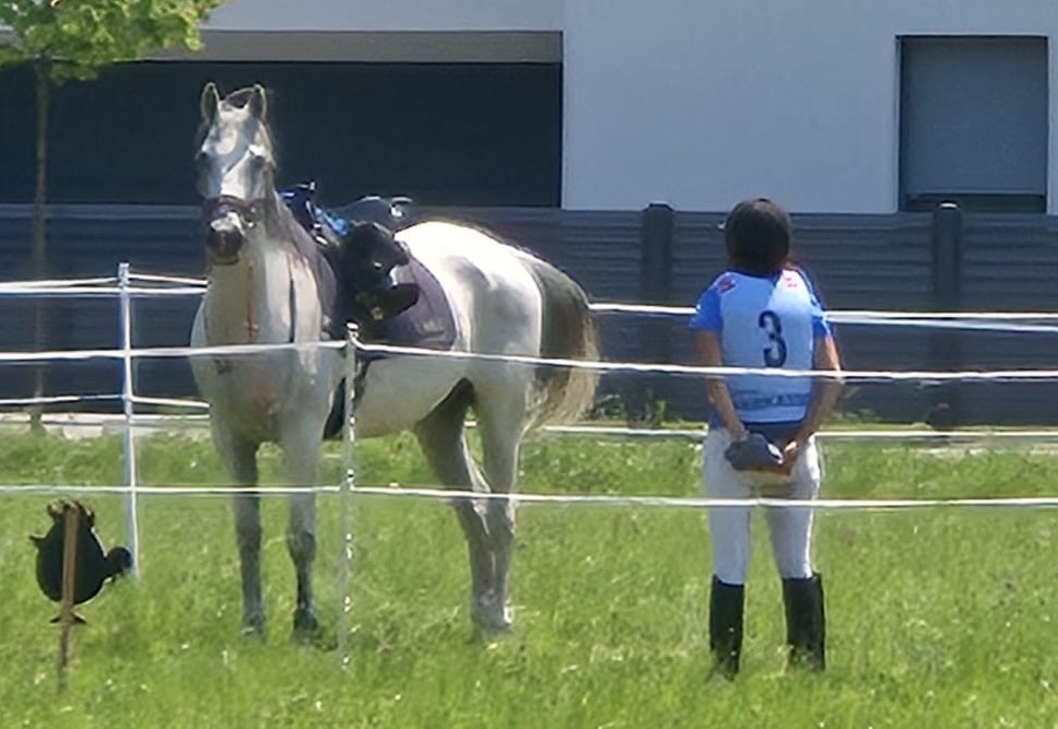Claudia Schwendimann und Tchapo bei der Unbeweglichkeit. © privat