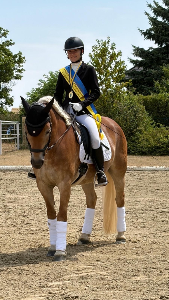 NÖ Landesmeisterin Haflinger Dressur Jugend/Junioren: Lina Nosko und Talina's Golden Dream. © privat