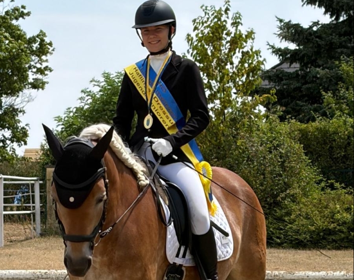 NOELM_Haflinger_Dressur_LinaNosko_cprivat NÖ Landesmeisterin Haflinger Dressur Jugend/Junioren: Lina Nosko und Talina's Golden Dream. © privat
