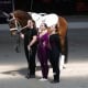 © The Vaulting Review