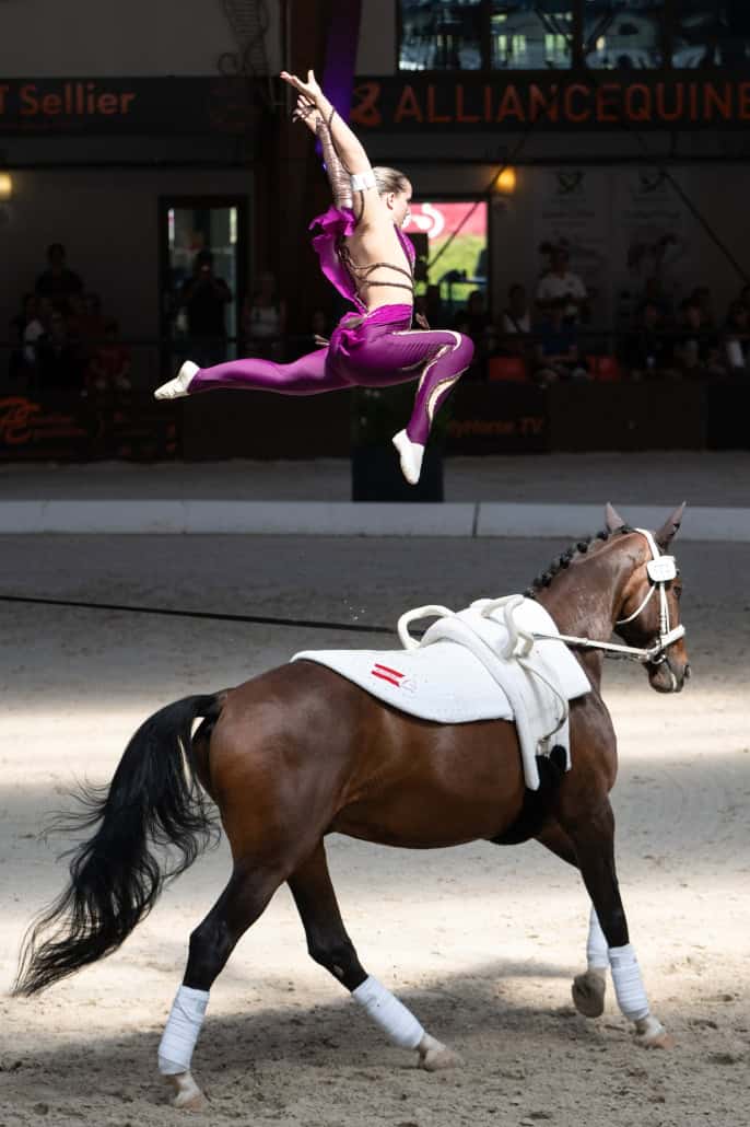 © The Vaulting Review