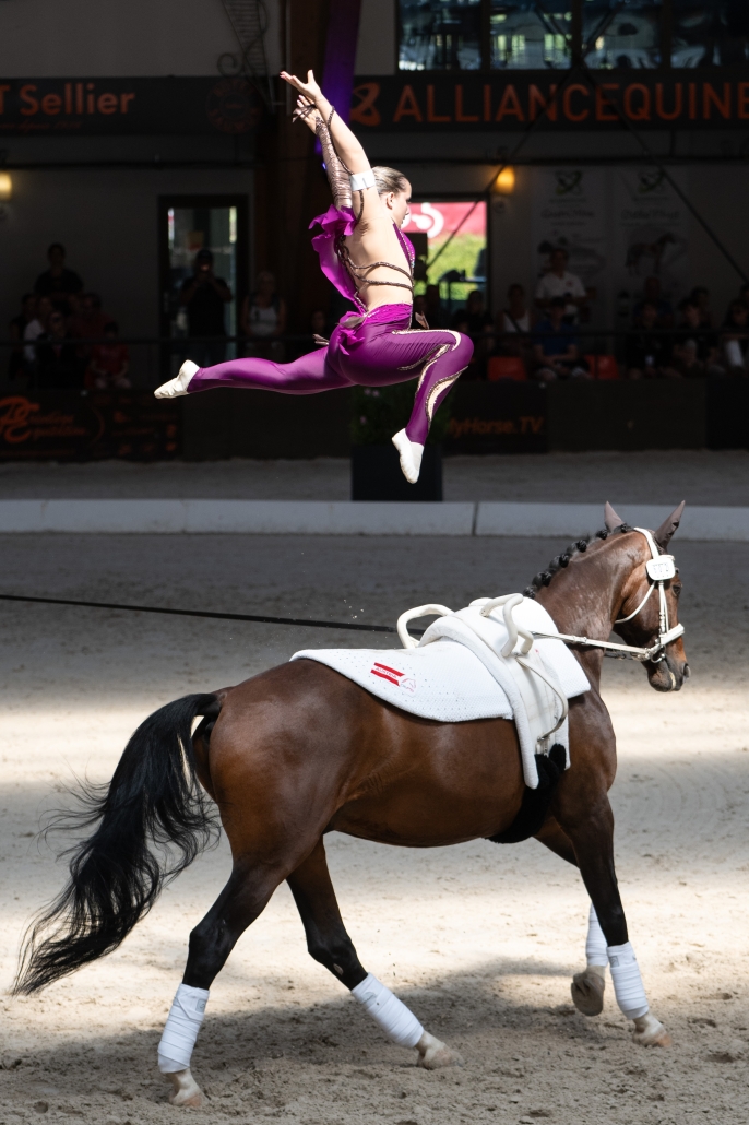 © The Vaulting Review