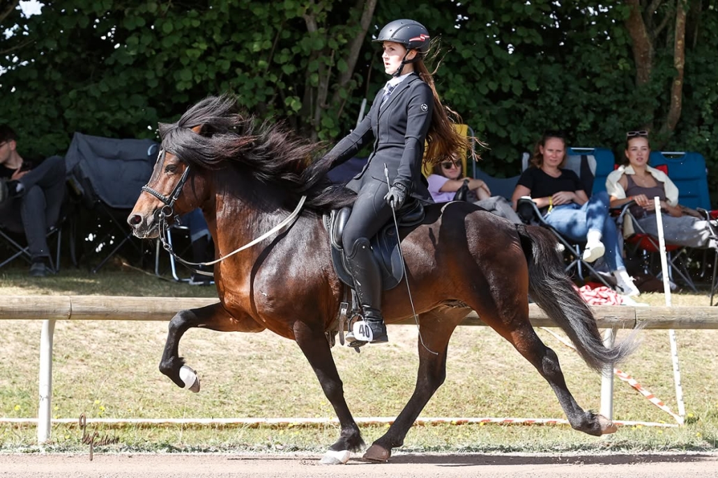 © Neddens-Tierfoto