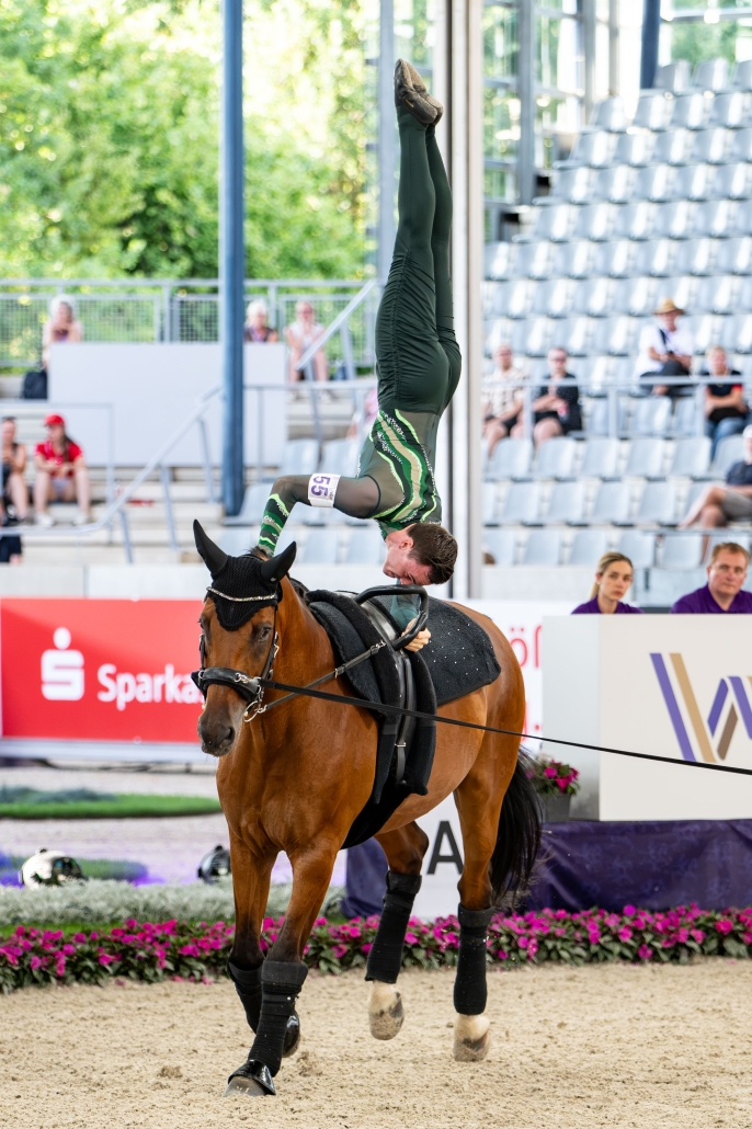 © The Vaulting Review