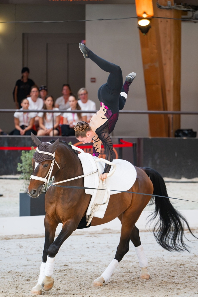 © The Vaulting Review