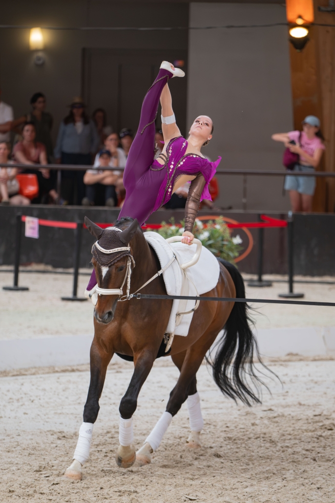 © The Vaulting Review